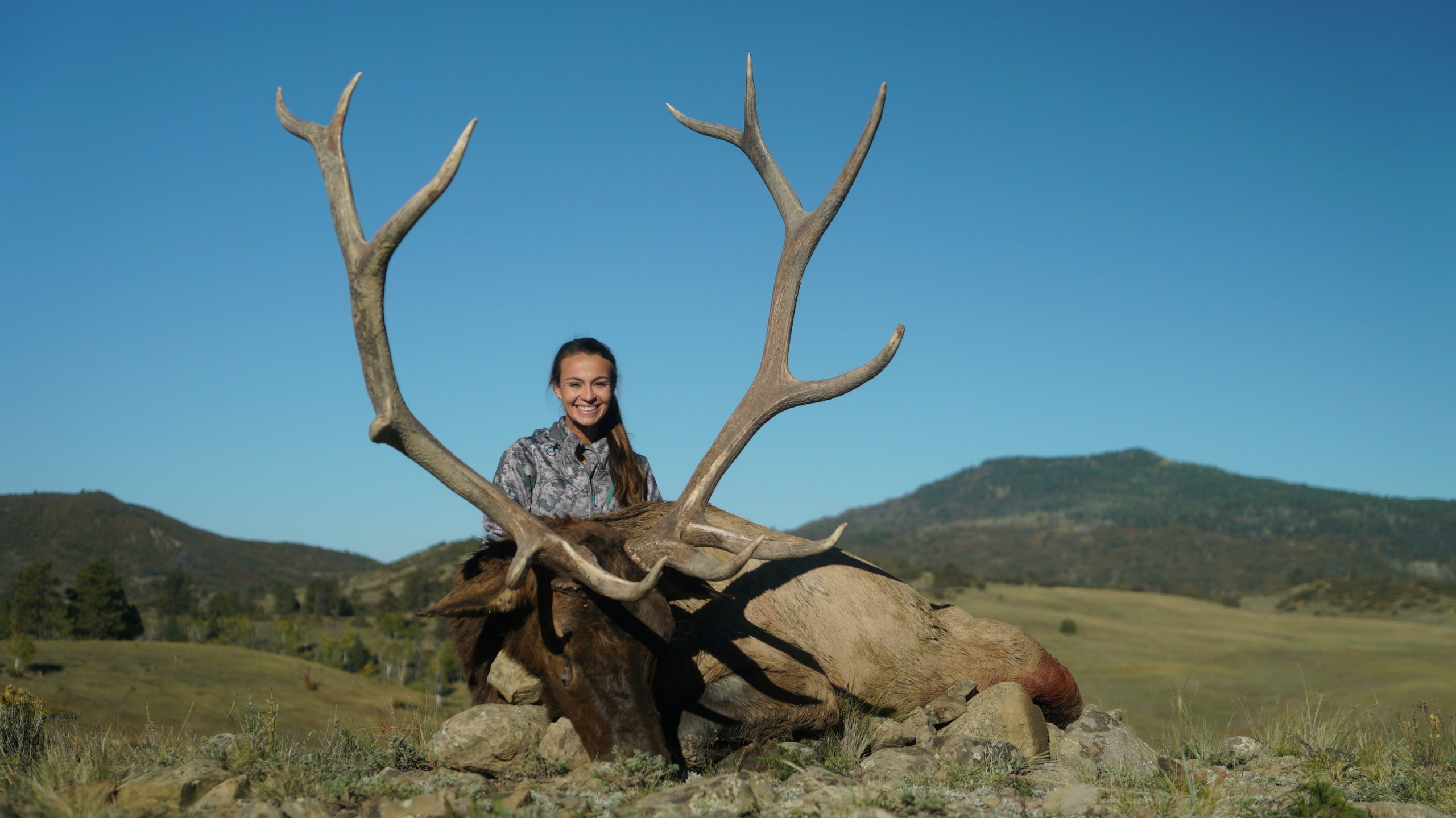 Matti Tackett Elk Harvest