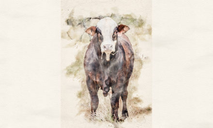 Storytime: how not to catch a mouse