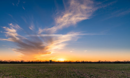 History: Pat Garrett, John Garner, and Horse Racing in Uvalde, Texas