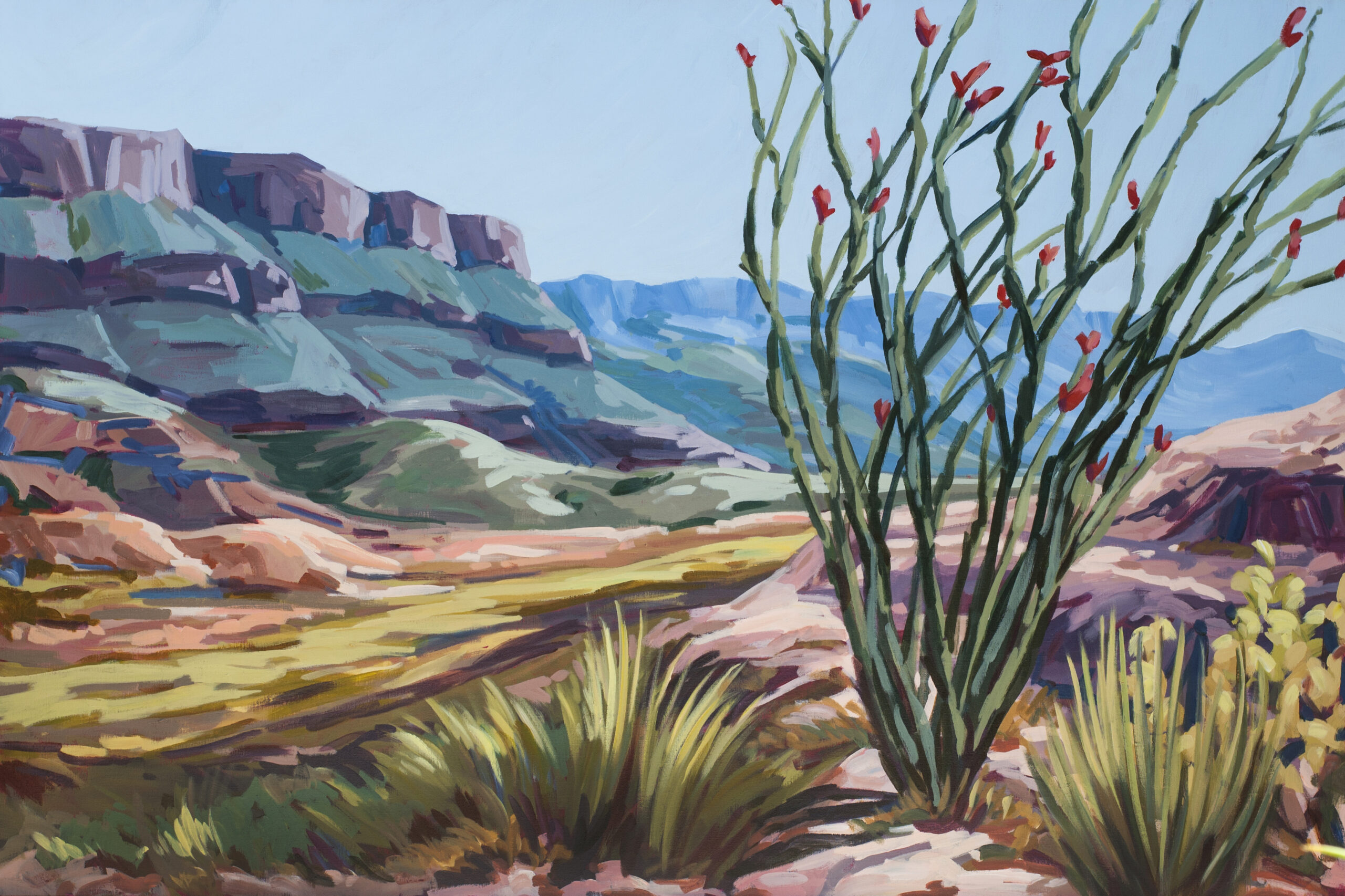 Danika Ostrowski Crimson Ocotillo