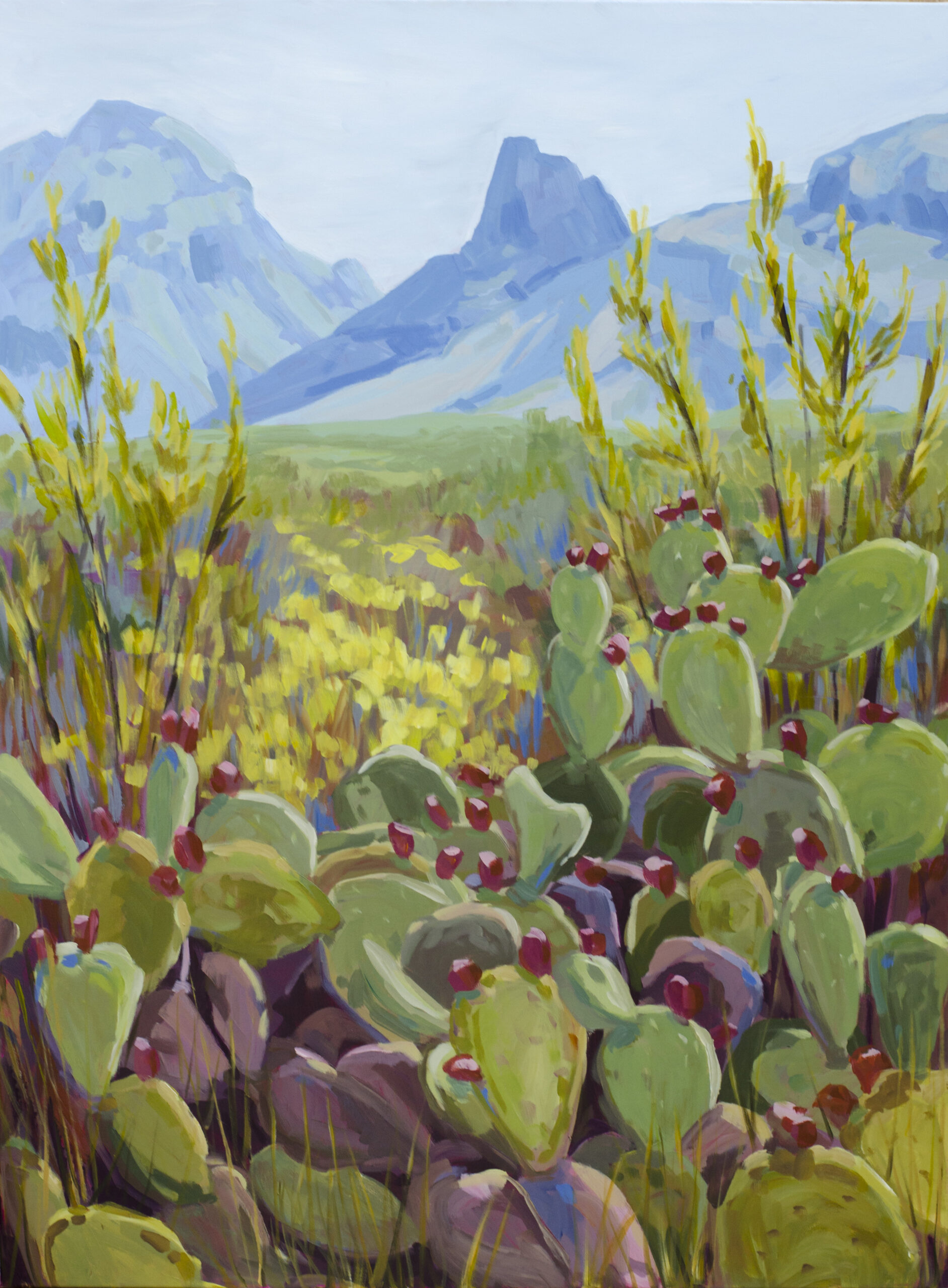 Danika Ostrowski Prickly Pears in Big Bend