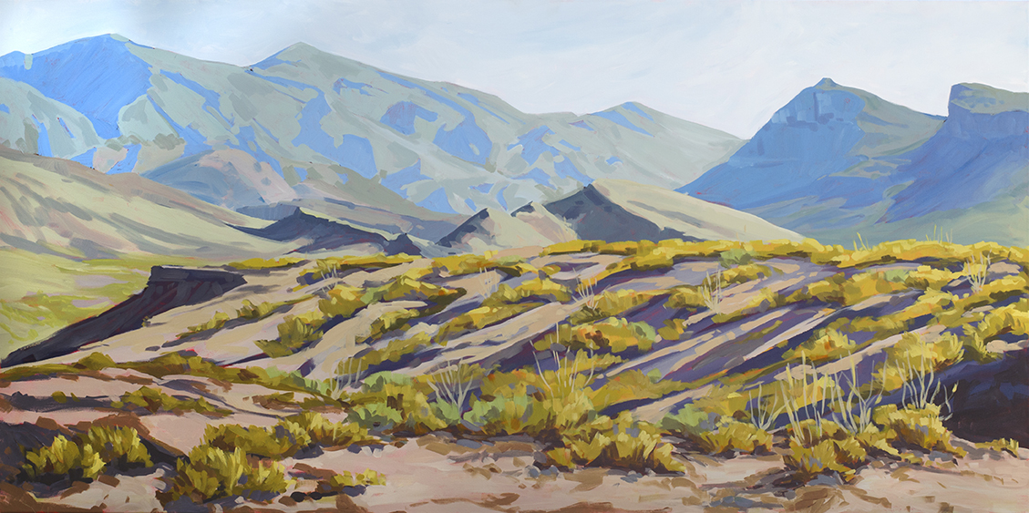 Danika Ostrowski Chihuahuan Desert