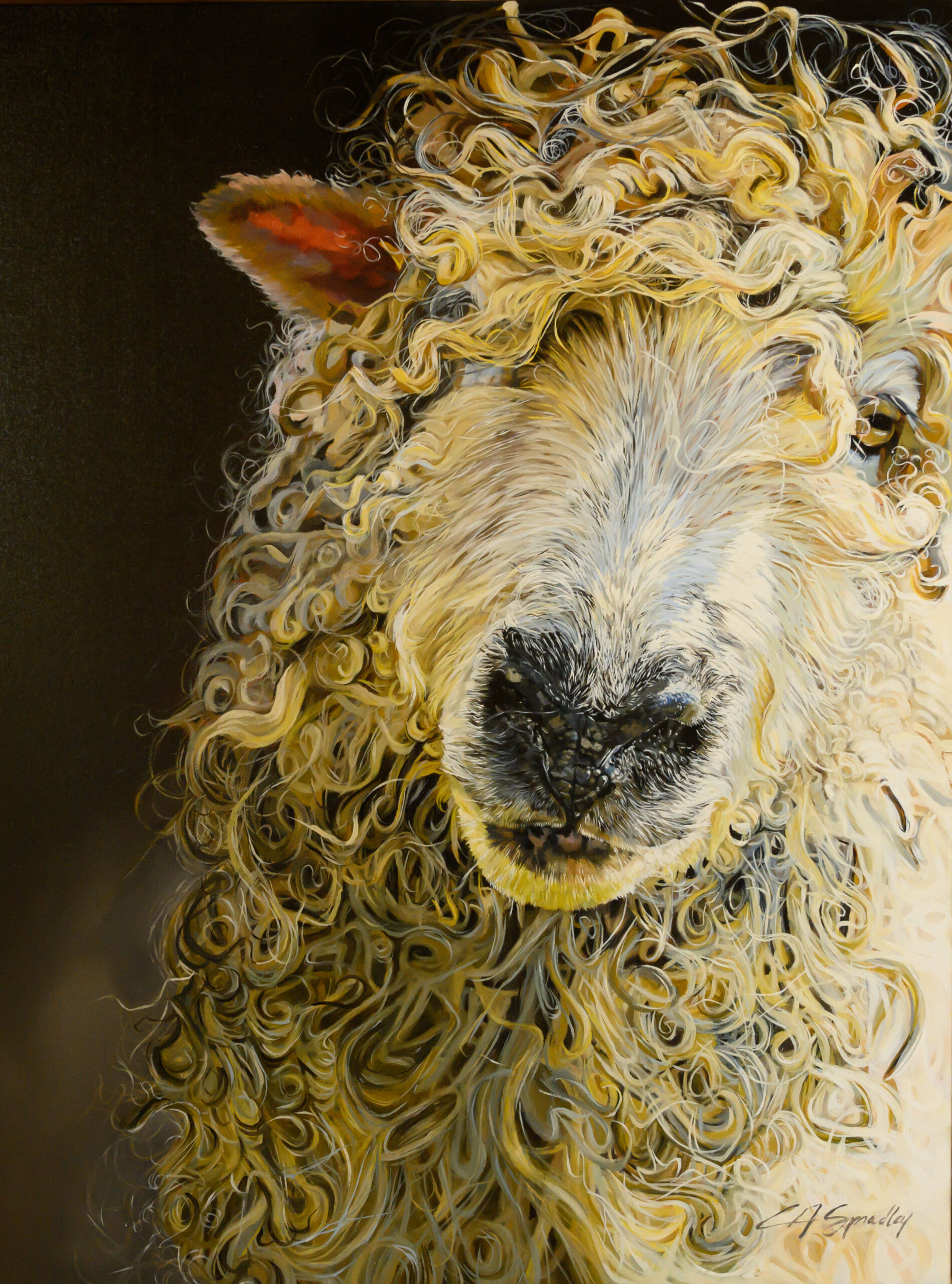 Texas Ranch Journal Feature Artist Lori Spradley Cotswold Sheep