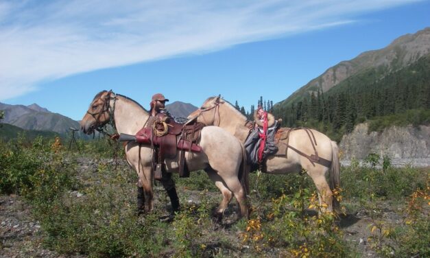 The Horse & The Hunt