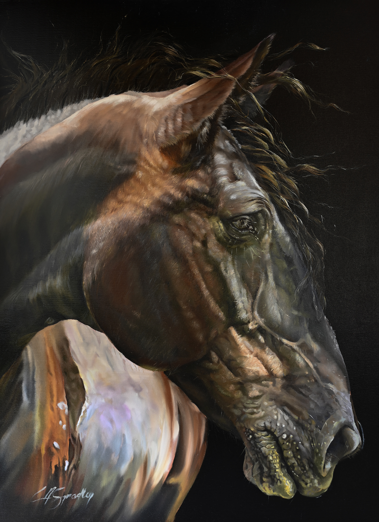 Texas Ranch Journal Feature Artist Lori Spradley Stallion Study