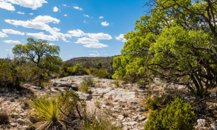 Why Do We Buy Ranches? Why Do We Sell Ranches? Part 2