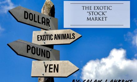 The Exotic Stock Market