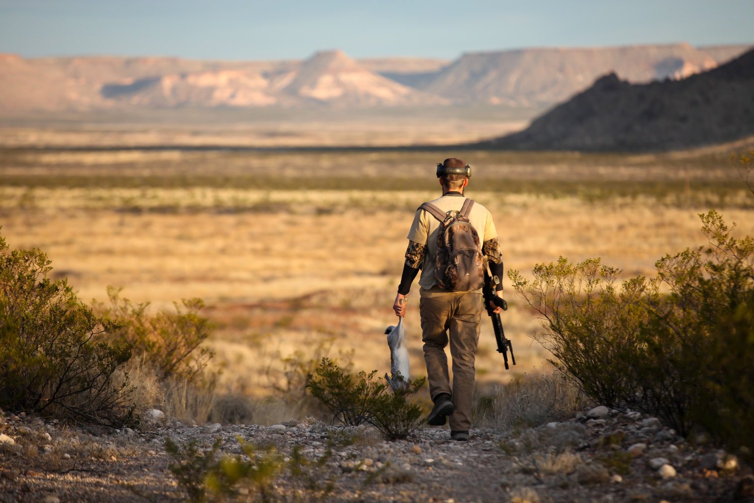 The Horse & the Hunt Image 6