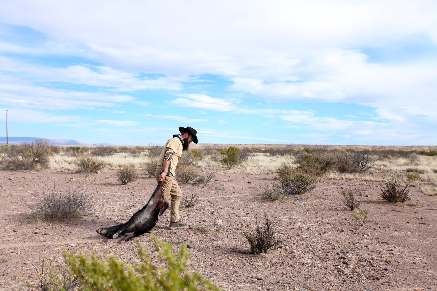 The Horse & the Hunt Image 3