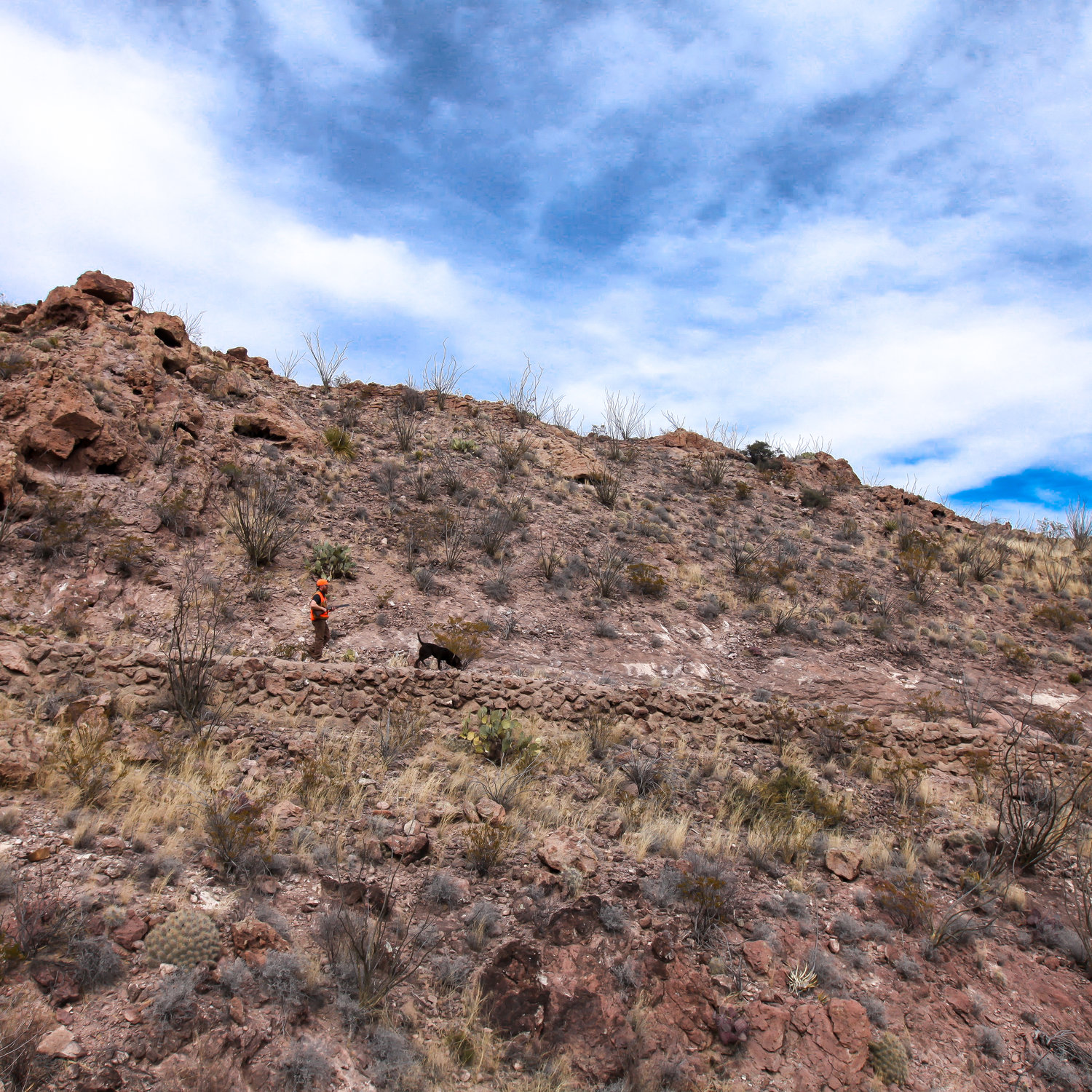 The Horse & the Hunt Image 2