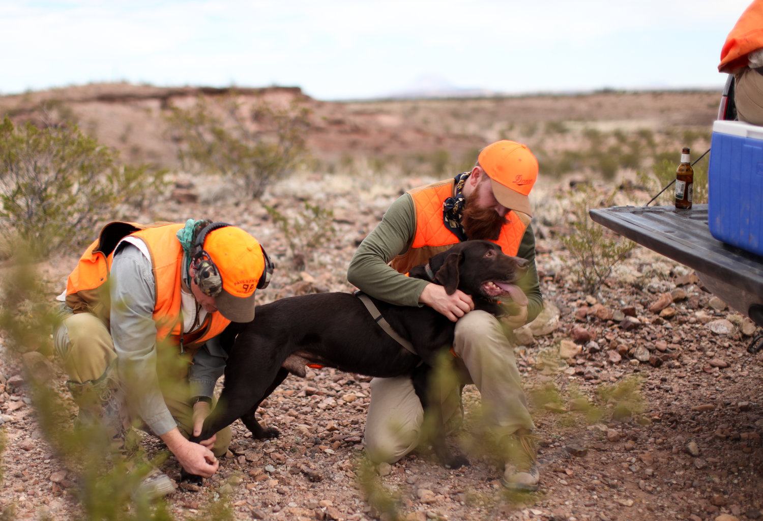 The Horse & the Hunt Image 2