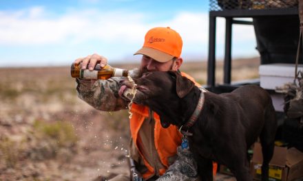 SUFFERING FOR DESERT DWELLERS