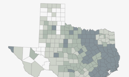 Putting a Dollar Amount to Texas Ecosystem Services