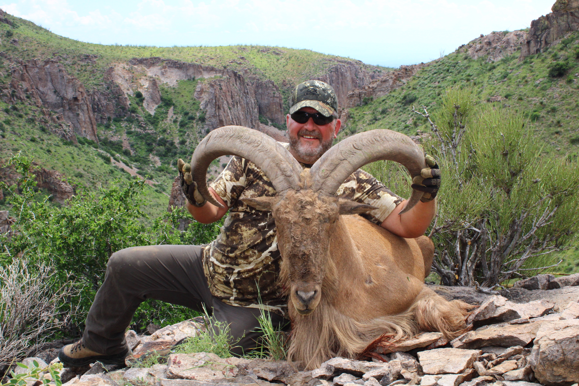 Free Range Aoudad Hunting Image 7