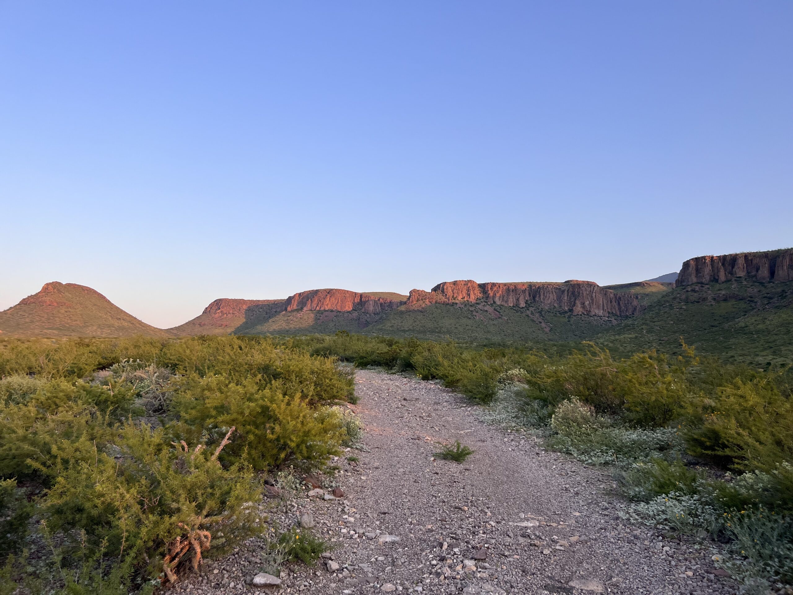 Free Range Aoudad Hunting Image 5