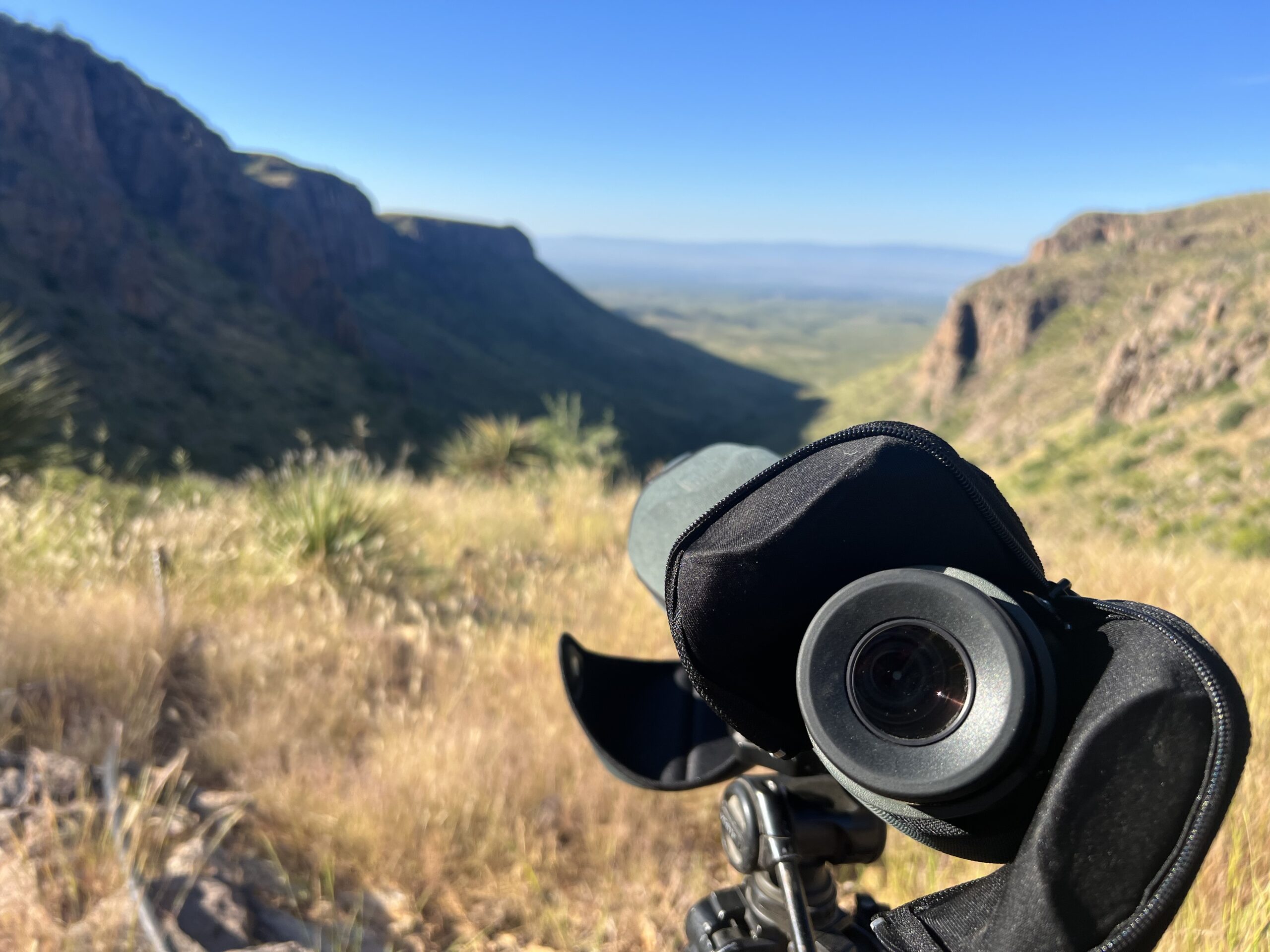 Free Range Aoudad Hunting Image 3