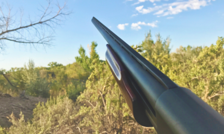 Hunting Lessee Best Practices