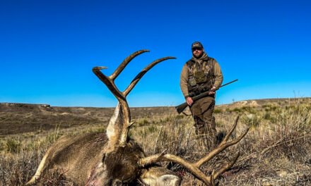 Texas Mule Deer: The Species, Management, & HuntingTexas Mule Deer: