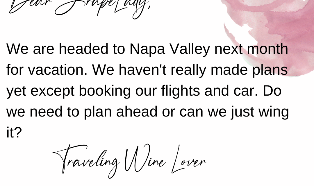 Traveling Wine Lover
