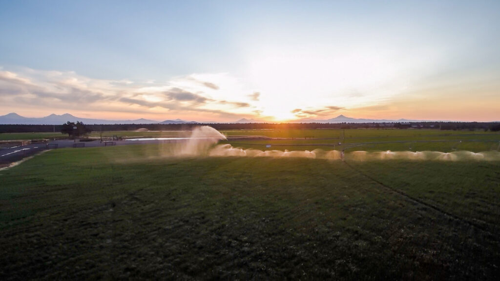 Texas Ranch Sales Y-Bell Ranch Image 10