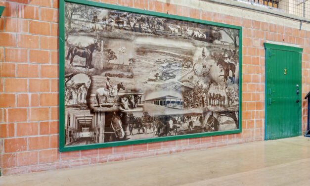 Valdina Ranch: A Texas Legacy Reimagined