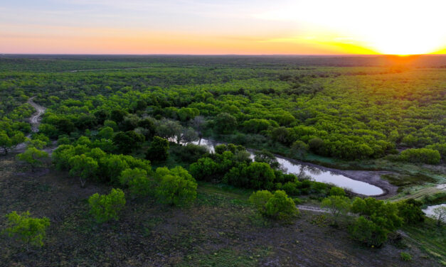 Quarterback Lake Ranch: A 3,335± Acre Hunting Paradise in Medina County