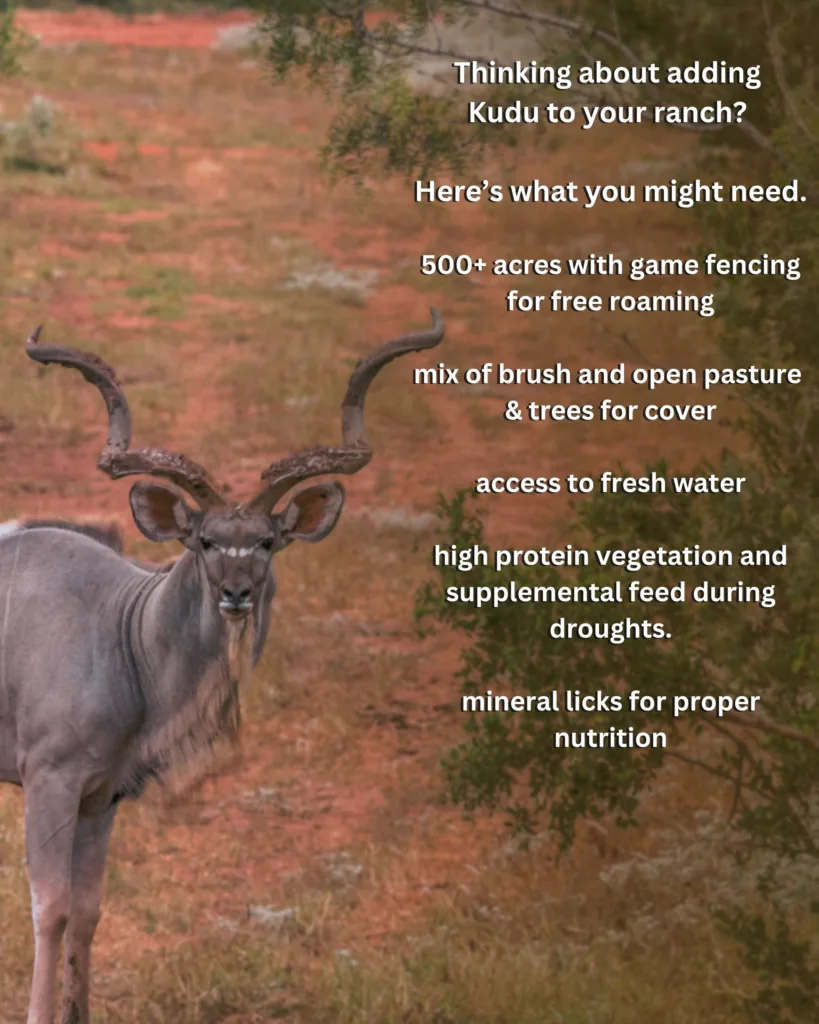 Kudu on Texas Ranches Texas Ranch Journal Kudu on Texas Ranches Texas Ranch Journal