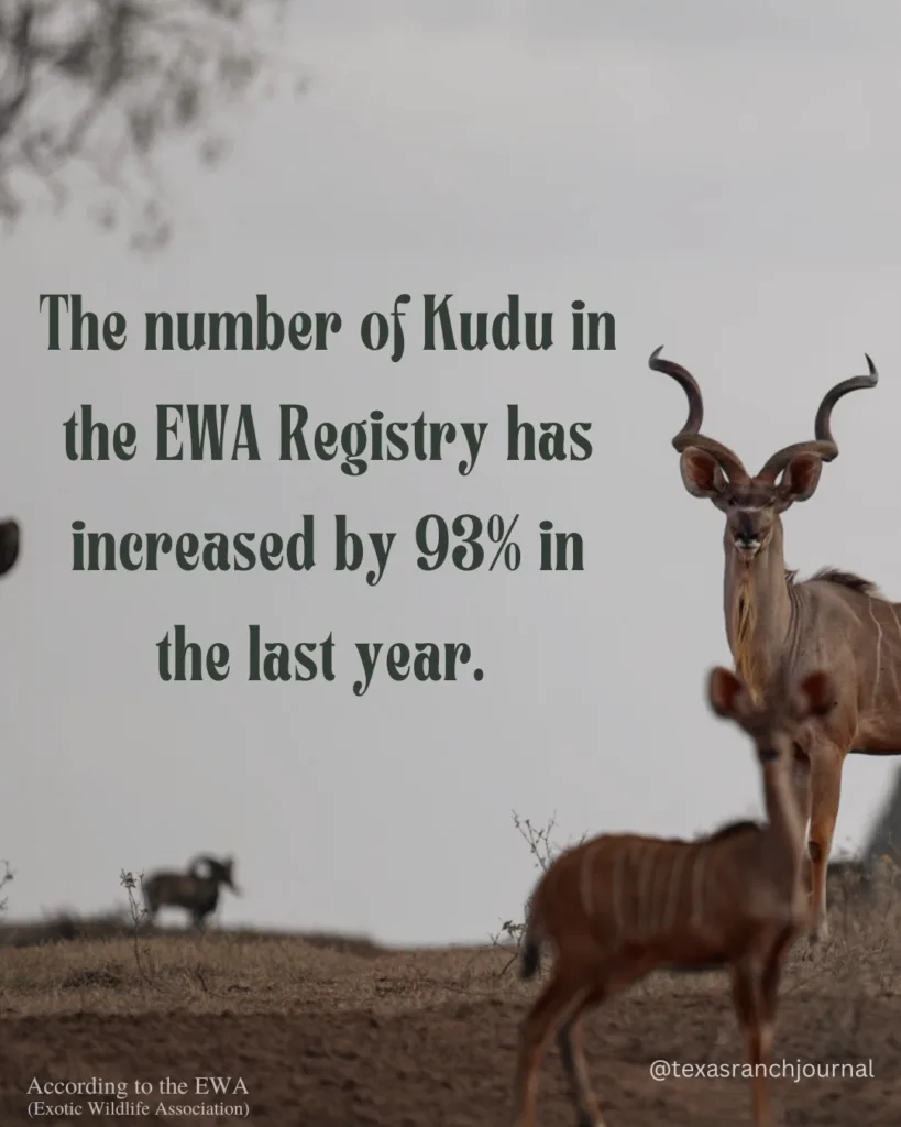 Kudu population in U.S. according to Exotic Wildlife Association The Majectic Kudu: Preserving a Species Image 1