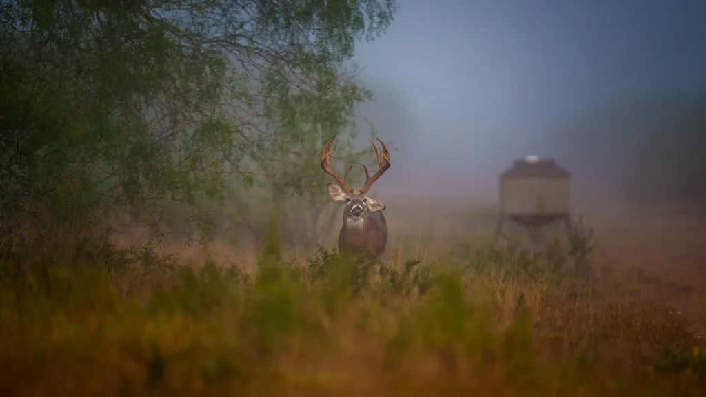 A Guide for Creating the Perfect Wildlife Habitat Image 2