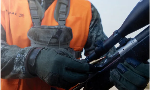 Federal Fusion Gets Tipped Off