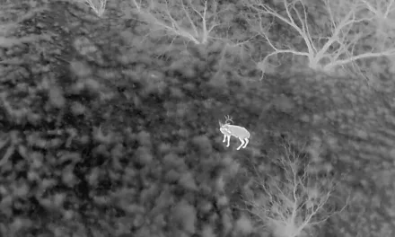 Why I Trust Sky Senderos: A Rancher’s Experience with Thermal Drone Wildlife Surveys