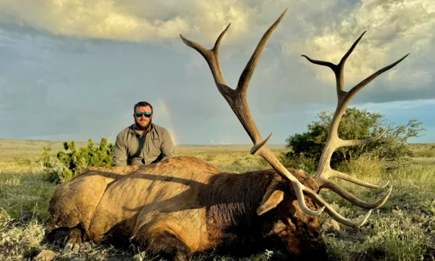 Hunting in the Trans-Pecos  and the Big Bend Area