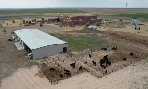 Head ‘em North! Wildorado ISD Leads the Herd with Cattle Company