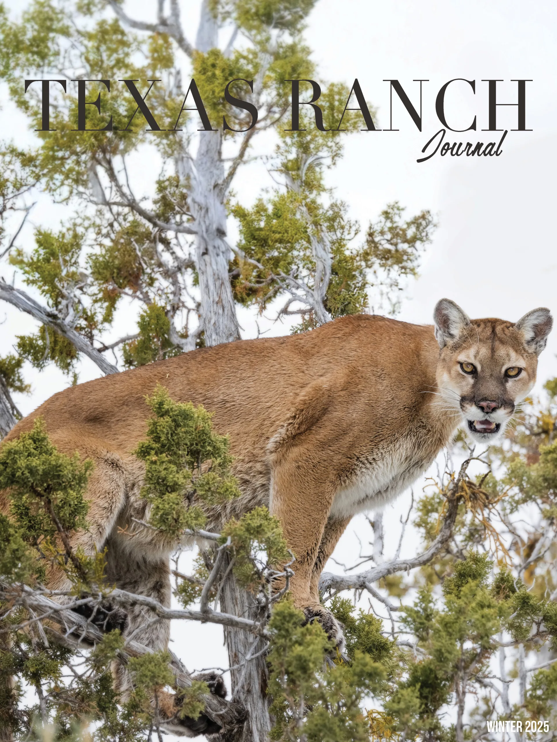 texas ranch journal fall 2023