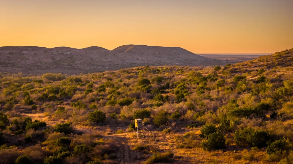 Indian Creek Ranch | Uvalde County 2710 acres for sale by Texas Ranch Sales Hunting 