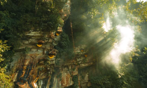 Lessons From the Himalayas:  Managing Wild Pollinator Habitats Through Indigenous Practices